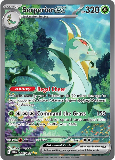 Serperior ex 164/086 - Special Illustration Rare