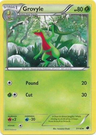 Grovyle 7/116