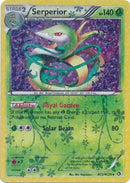 Serperior RC3/RC25-Kantocards