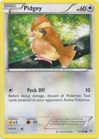 Pidgey 75/106