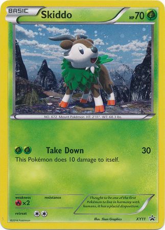 Skiddo XY11