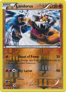 Landorus 58/111 - Reverse Holo-Kantocards