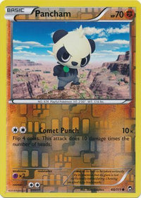 Pancham 60/111 - Reverse Holo-Kantocards