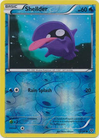 Shellder 31/146 - Reverse Holo-Kantocards