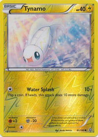 Tynamo 62/160 - Reverse Holo-Kantocards