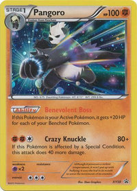 Pangoro XY50-Kantocards