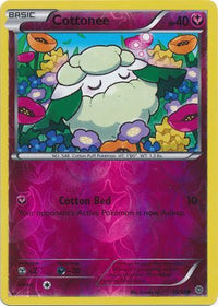 Cottonee 55/98 - Reverse Holo-Kantocards