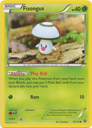 Foongus 12/114