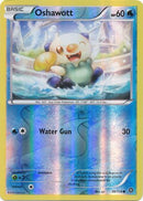 Oshawott 30/114 - Reverse Holo-Kantocards