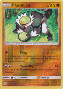 Passimian 73/149 - Reverse Holo-Kantocards