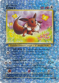 Eevee 74/110 - Reverse Holo-Kantocards
