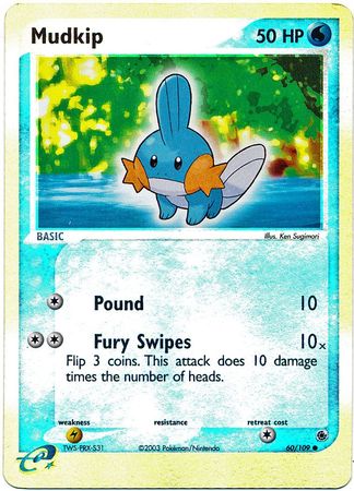 Mudkip 60/109 - Holo Reverse