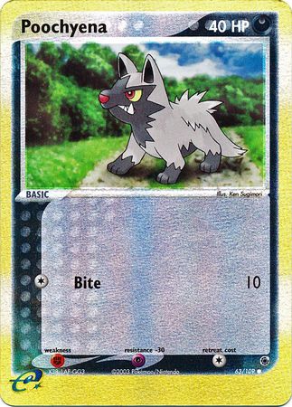 Poochyena 63/109 - Holo Reverse