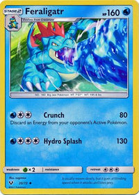 Feraligatr 20/73-Kantocards