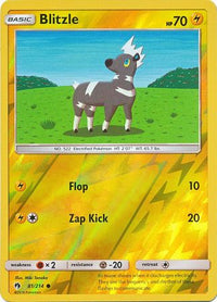Blitzle 81/214 - Reverse Holo-Kantocards