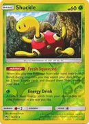 Shuckle 16/214 - Reverse Holo-Kantocards