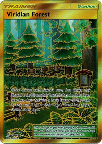 Viridian Forest 256/236-Kantocards