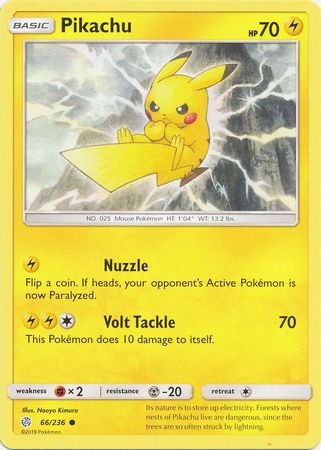 Pikachu 66/236