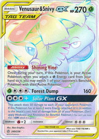 Venusaur & SnivyTag Team GX 249/236 - Hyper Rare-Kantocards