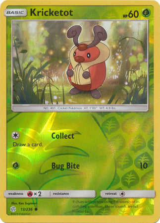 Kricketot 13/236 - Holo Reverse