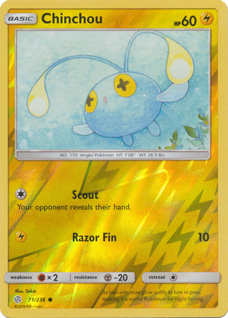 Chinchou 71/236 - Holo Reverse