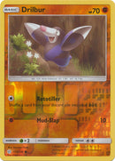 Drilbur 114/236 - Holo Reverse-Kantocards