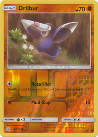 Drilbur 114/236 - Holo Reverse-Kantocards