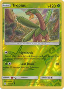 Tropius 12/236 - Holo Reverse-Kantocards