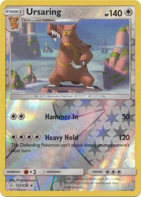 Ursaring 172/236 - Holo Reverse-Kantocards