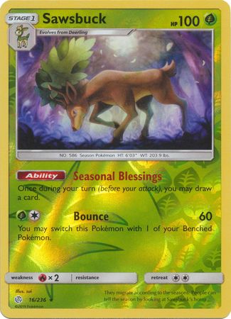 Sawsbuck 16/236 - Holo Reverse