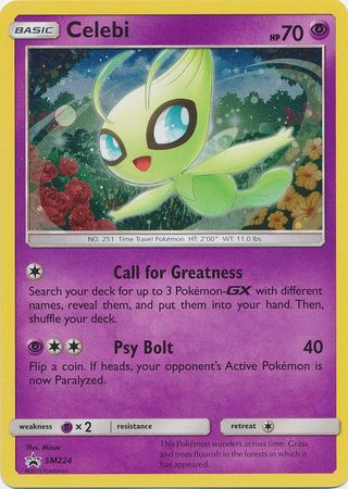 Celebi SM224