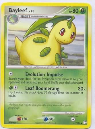 Bayleef 41/123
