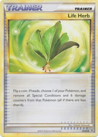 Life Herb 79/95-Kantocards