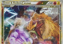 Entei & Raikou LEGEND 90/95-Kantocards