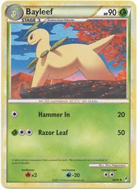 Bayleef 40/95-Kantocards