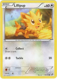 Lillipup 81/114-Kantocards
