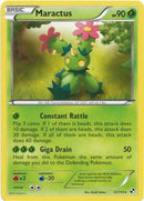 Maractus 12/114-Kantocards