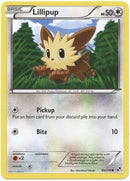 Lillipup 80/114-Kantocards