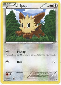 Lillipup 80/114-Kantocards