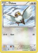 Pidove 80/98-Kantocards