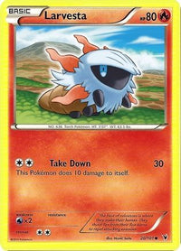Larvesta 20/101-Kantocards