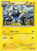 Luxio 45/99-Kantocards
