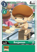 Burgamon BT12-046 C-Kantocards