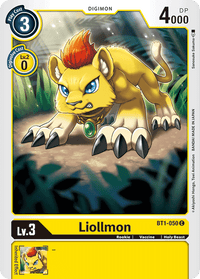 Liollmon BT1-050-Kantocards
