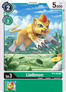 Liollmon BT4-050-Kantocards