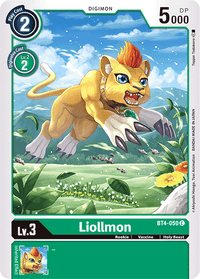 Liollmon BT4-050-Kantocards