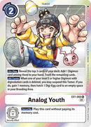 Analog Youth EX1-066-Kantocards