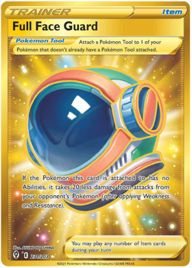 Full Face Guard 231/203